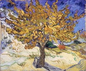 Mulberry Tree, 1889